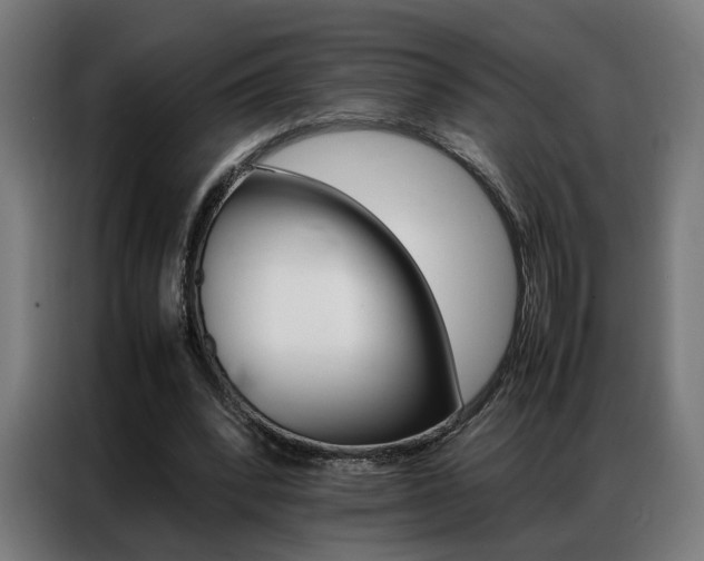X0000086970392200704161151