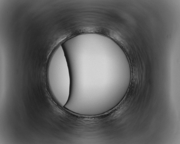 X0000086970394200704161151