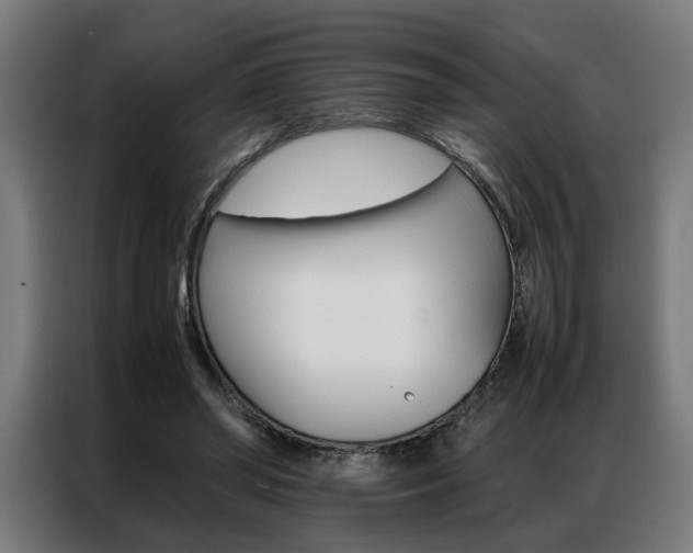 X0000086970398200704161151