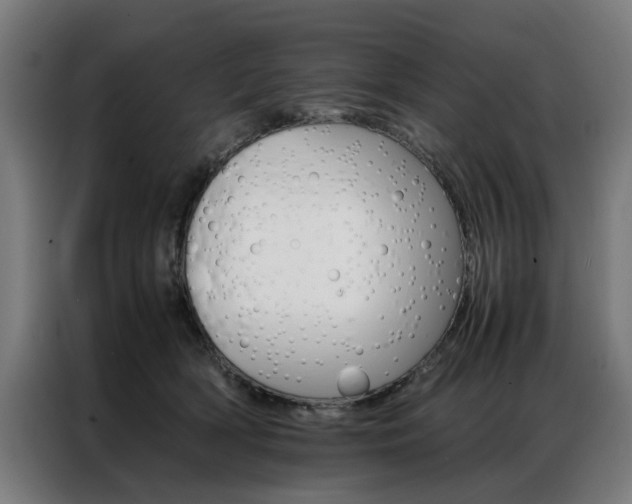 X0000086970418200704161150