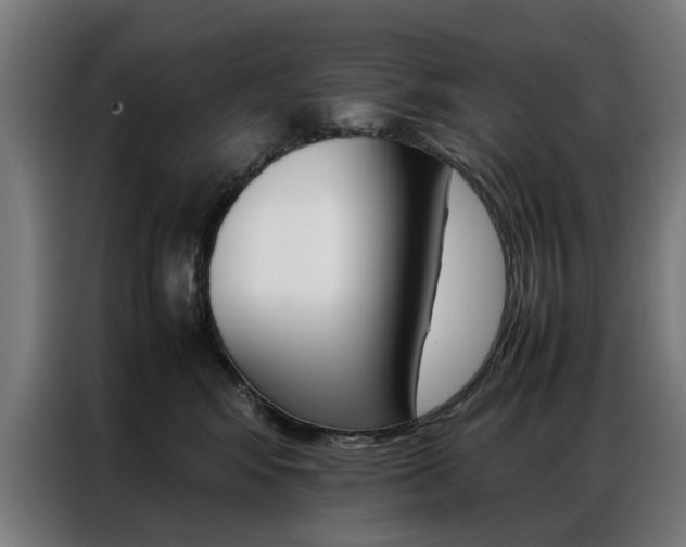 X0000086970424200704161150