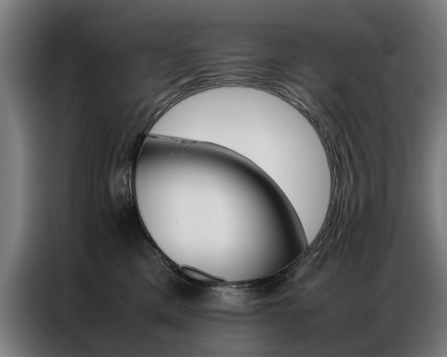 X0000086970425200704161150