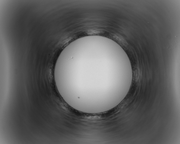 X0000086970426200704161150