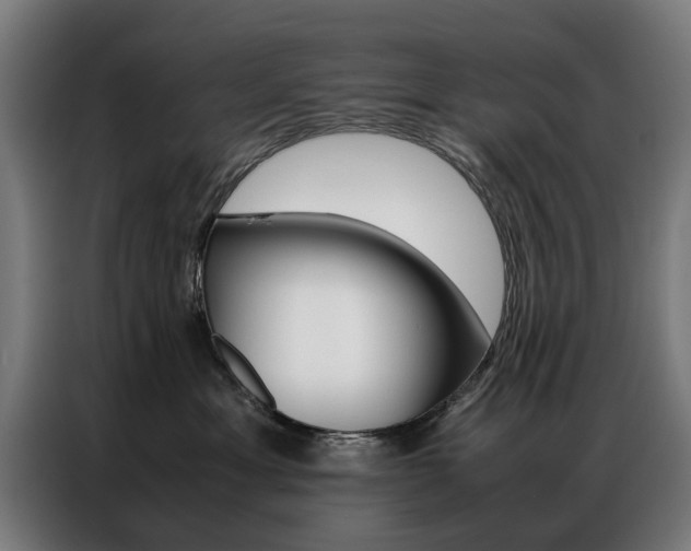 X0000086970429200704161150