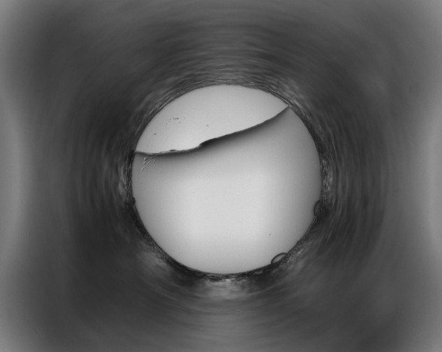 X0000086970430200704161150