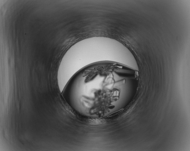 X0000086970432200704161150