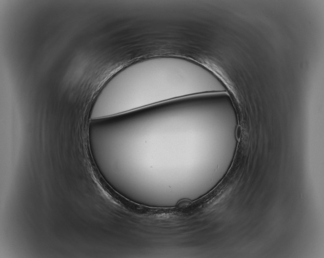 X0000086970433200704161150