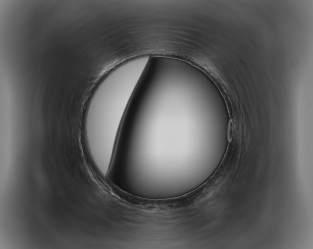X0000086970434200704161150