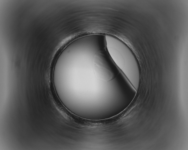 X0000086970438200704161150