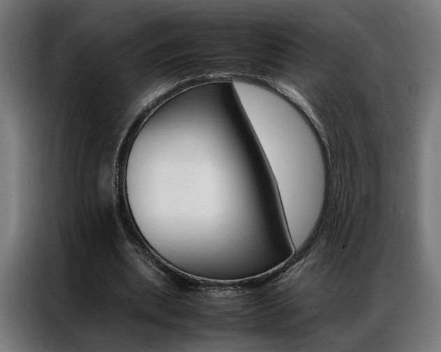 X0000086970439200704161150