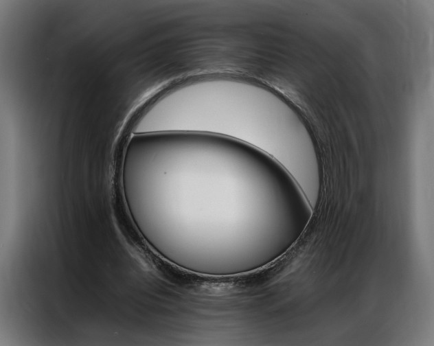 X0000086970440200704161150