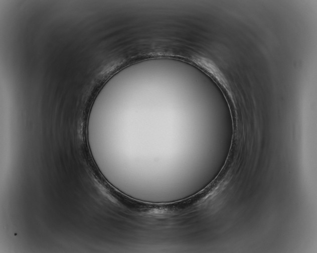X0000086970441200704161150