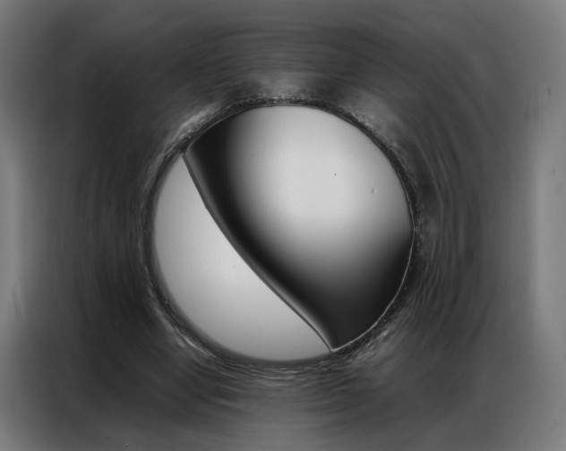 X0000086970442200704161150