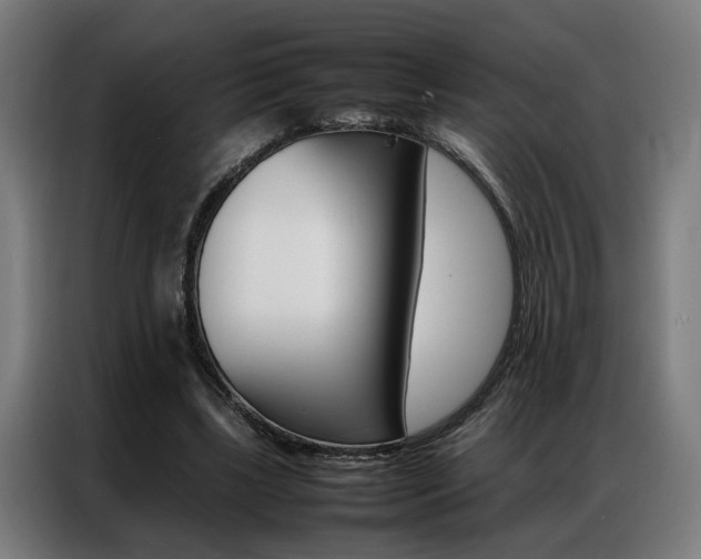X0000086970443200704161150