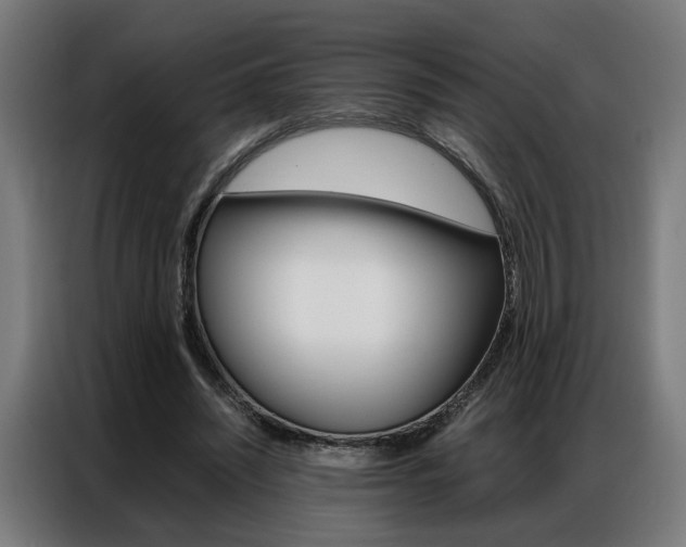 X0000086970444200704161150