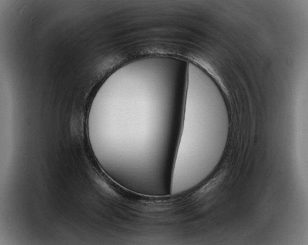 X0000086970445200704161150