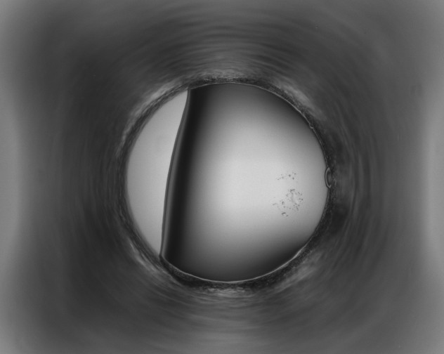 X0000086970446200704161150