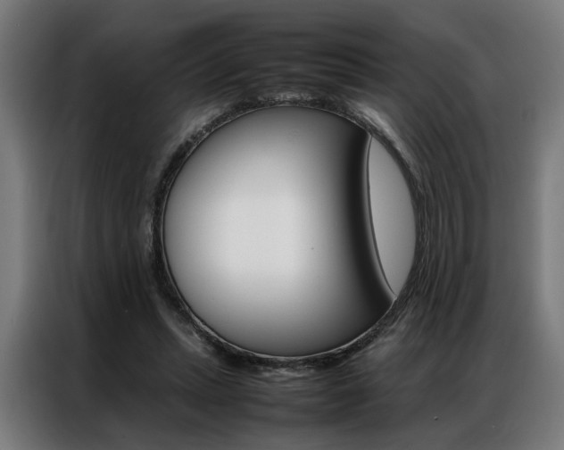 X0000086970447200704161150