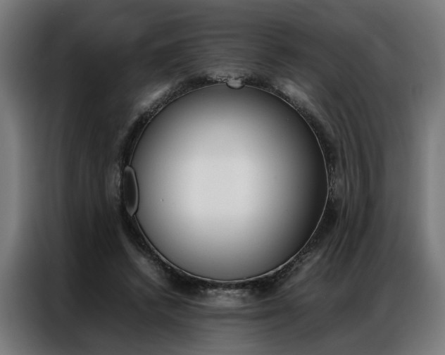 X0000086970448200704161150
