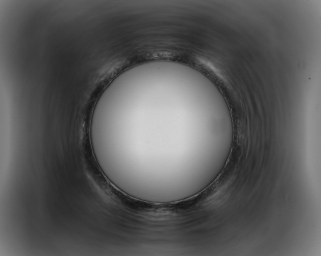 X0000086970451200704161150