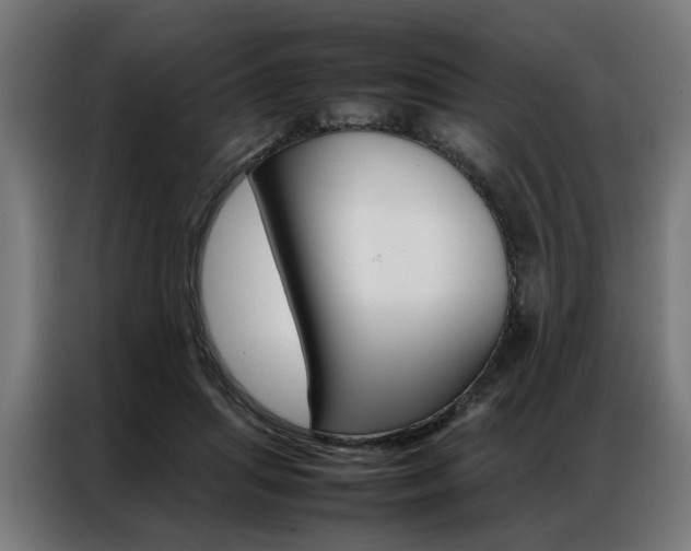 X0000086970455200704161150