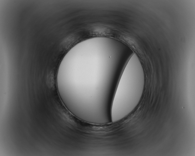 X0000086970457200704161150