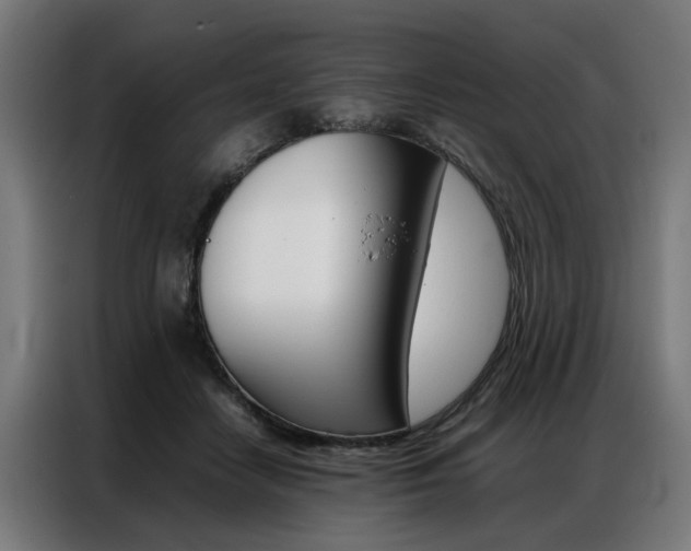 X0000086970458200704161150