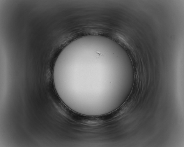 X0000086970459200704161150
