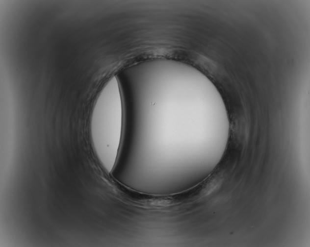 X0000086970462200704161150