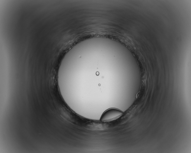 X0000086970464200704161150