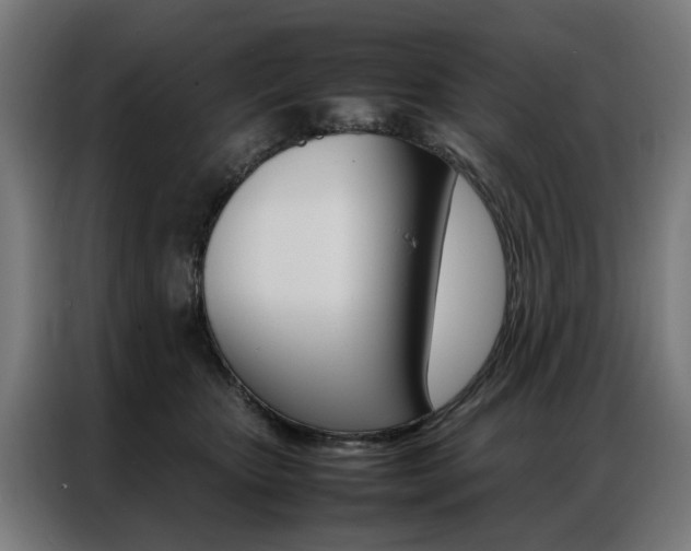 X0000086970467200704161150