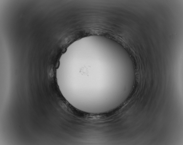 X0000086970472200704161150