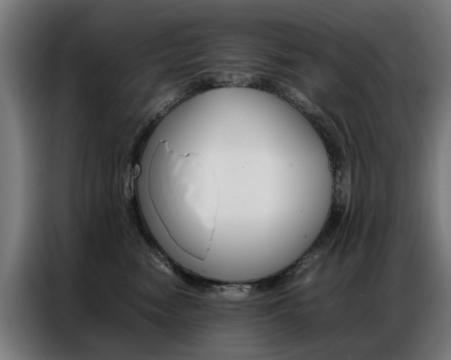 X0000086970474200704161150