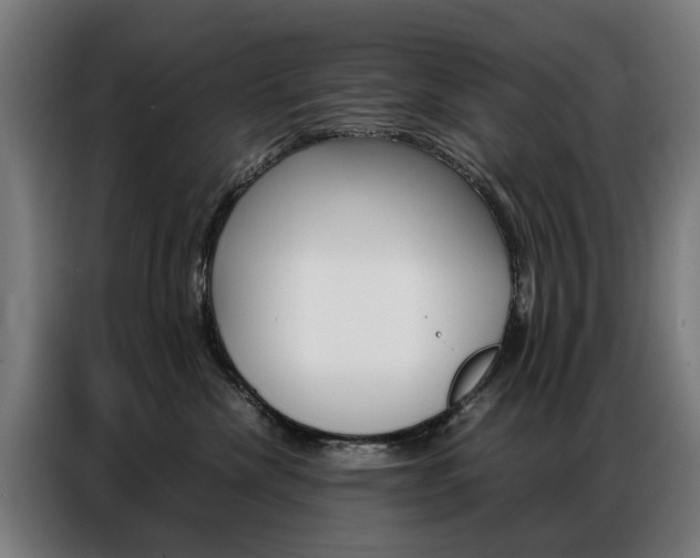 X0000086970476200704161150