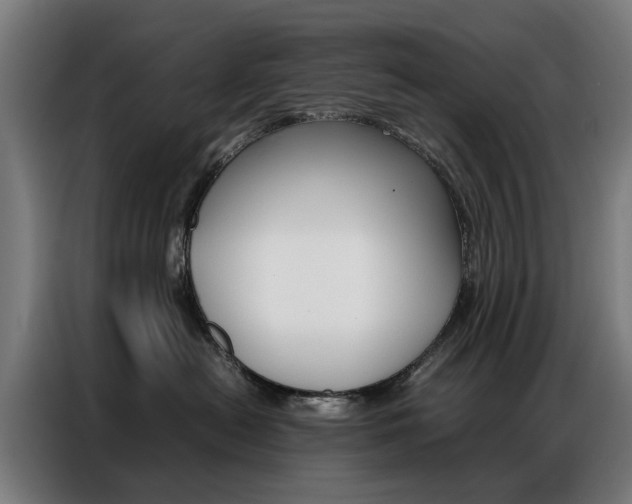 X0000086970478200704161150