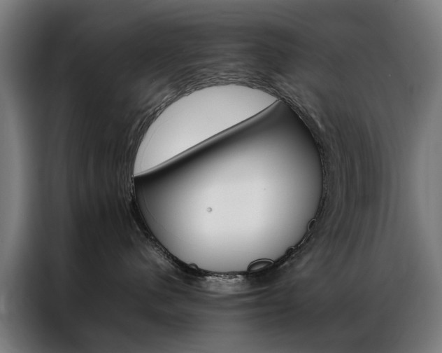X0000086970480200704161150