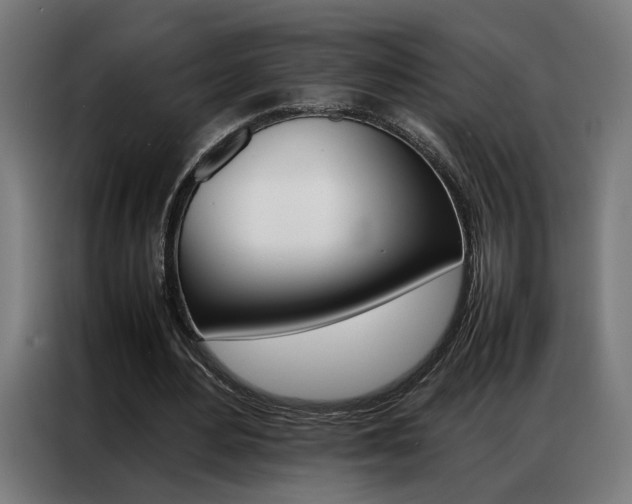 X0000086970484200704161149