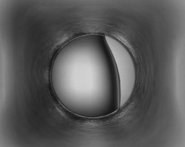 X0000086970489200704161149