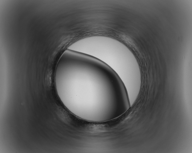 X0000086970501200704161149