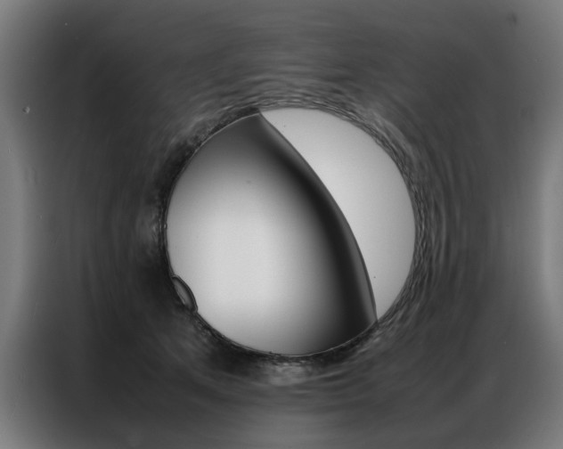 X0000086970513200704161149