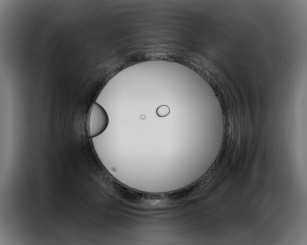 X0000086970514200704161149