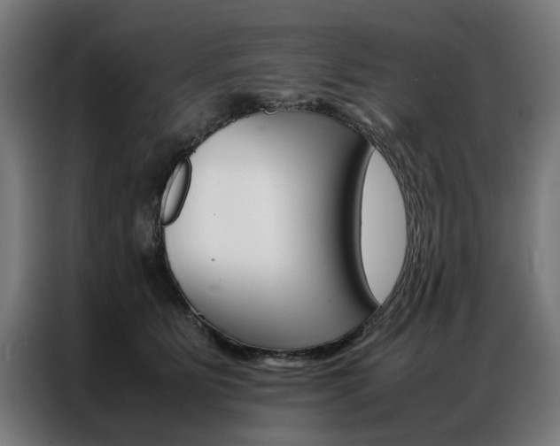X0000086970515200704161149