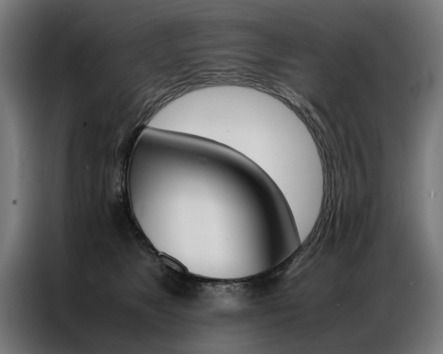 X0000086970517200704161149