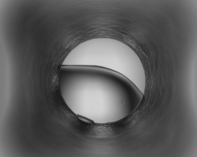 X0000086970521200704161149