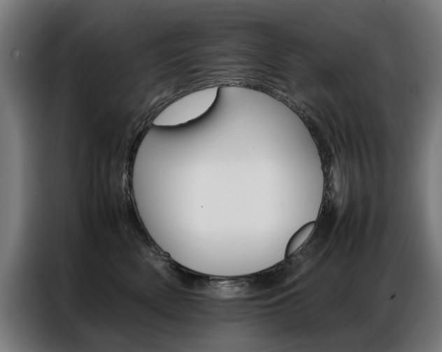 X0000086970522200704161149