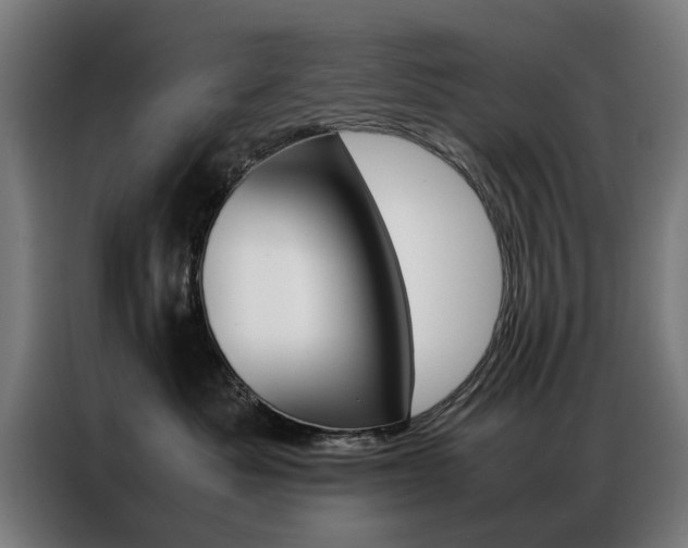 X0000086970525200704161149