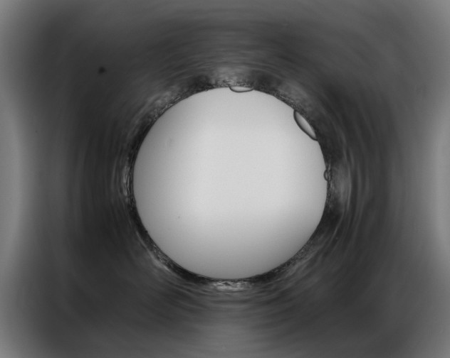 X0000086970526200704161149