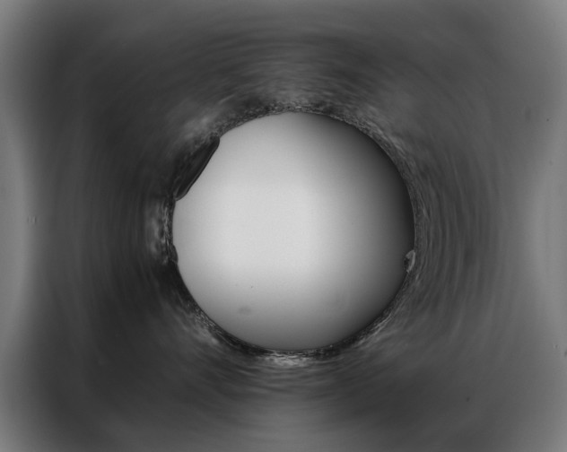 X0000086970528200704161149