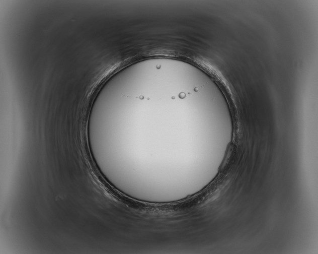X0000086970529200704161148