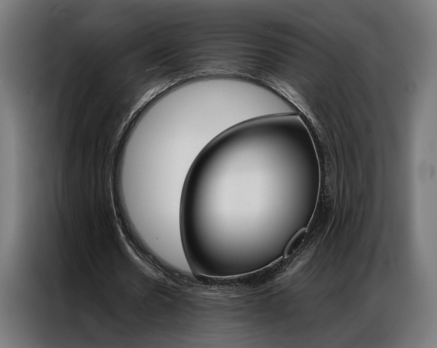 X0000086970530200704161148